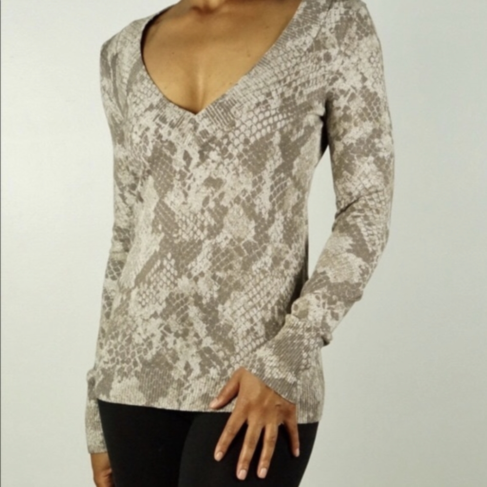 Express V-Neck Sweater, Metallic Snakeskin